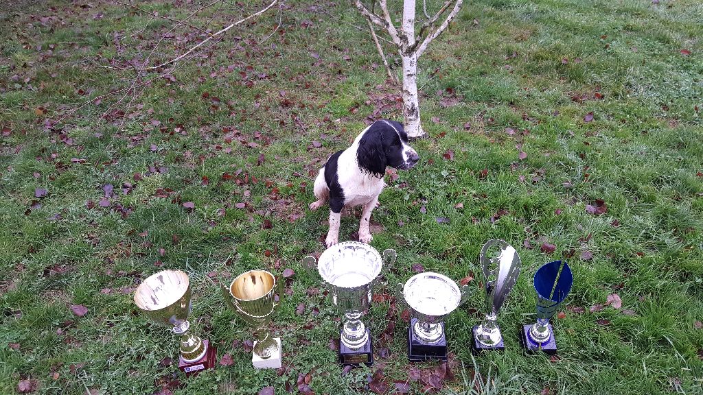 Luna remporte le Championnat Gibier Tiré 2017